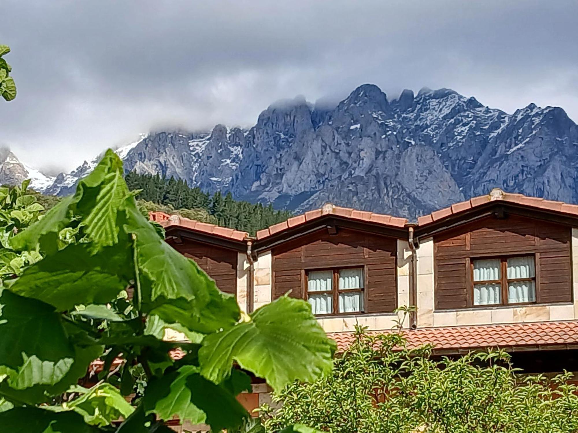 Picos De Europa Suites And Rooms Turieno Exterior photo