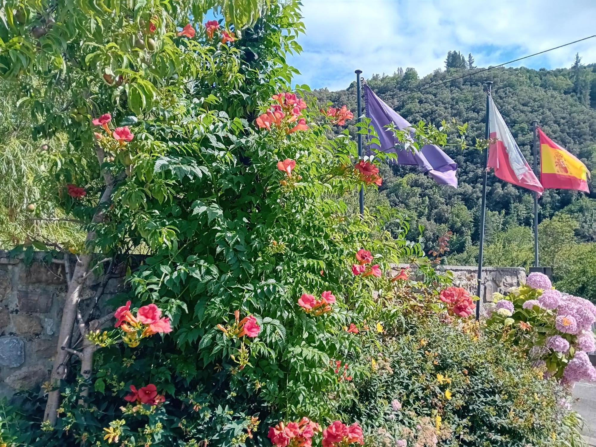 Picos De Europa Suites And Rooms Turieno Exterior photo
